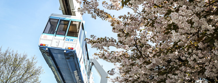 Die H-Bahn fährt an blühenden Bäumen entlang und der Himmel ist blau.